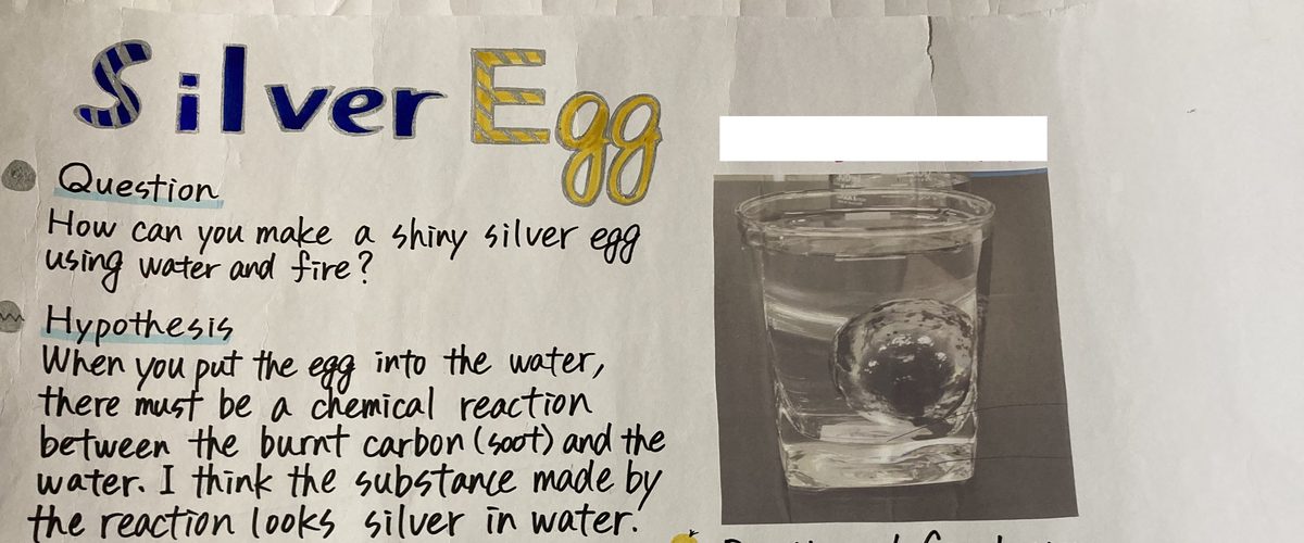 生徒が英語で書いた研究ポスター「Silver Egg」の上部。タイトルの下にQuestionとHypothesisの英文が並び、右側に実験の写真が貼られている